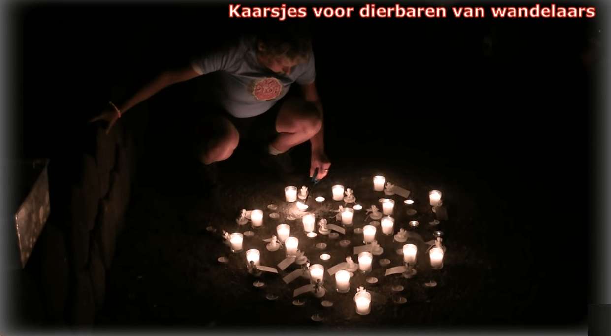 Kaarsjes